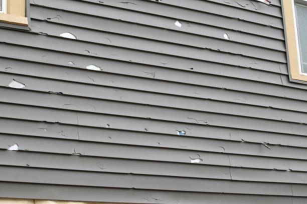 Best Dumpster Rental Services  in Lake Lorelei, OH
